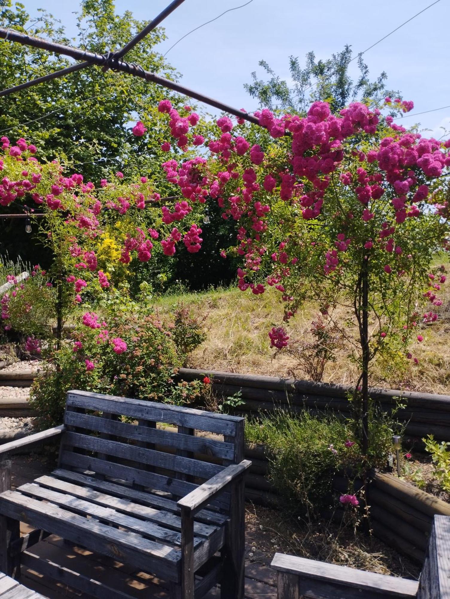 Fenetre Sur Loire Bed and Breakfast Iguerande Εξωτερικό φωτογραφία