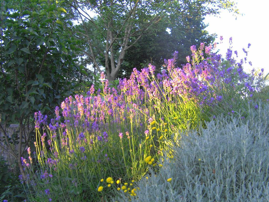 Fenetre Sur Loire Bed and Breakfast Iguerande Εξωτερικό φωτογραφία