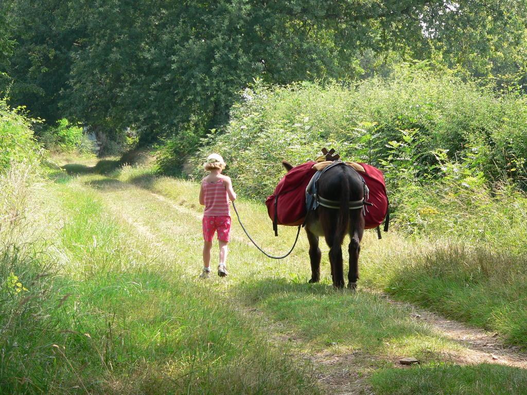 Fenetre Sur Loire Bed and Breakfast Iguerande Εξωτερικό φωτογραφία