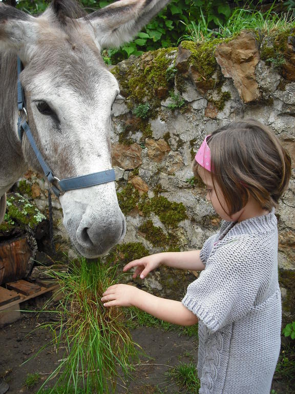 Fenetre Sur Loire Bed and Breakfast Iguerande Εξωτερικό φωτογραφία