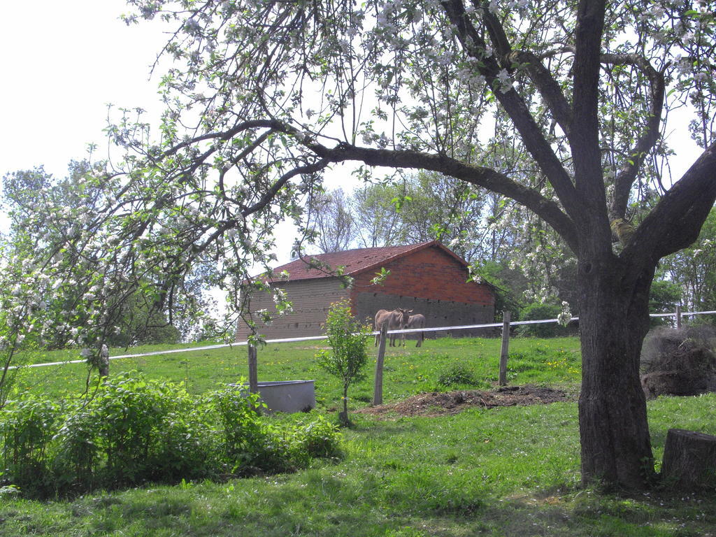 Fenetre Sur Loire Bed and Breakfast Iguerande Εξωτερικό φωτογραφία